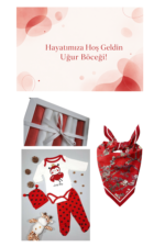 Uğur Böceği Yenidoğan Hediye Kutusu - Görsel 2